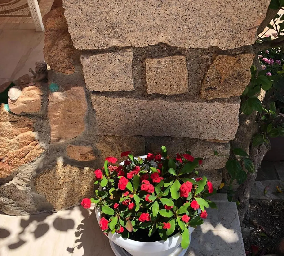 B&B Isola Mia La Maddalena  Bed and breakfast La Maddalena (Sassari)